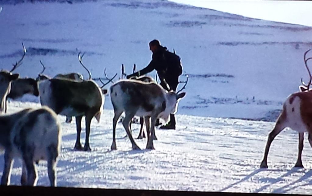 trafford19883's tweet photo. Get ready for a #brilliant #historylession from @BearGrylls #BearGyllsBritain on know @ITV http://t.co/kHewpLiRlg