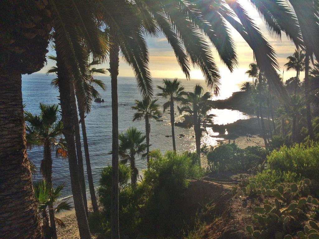 Feeling blessed here on the west coast, and totally under Gods control!