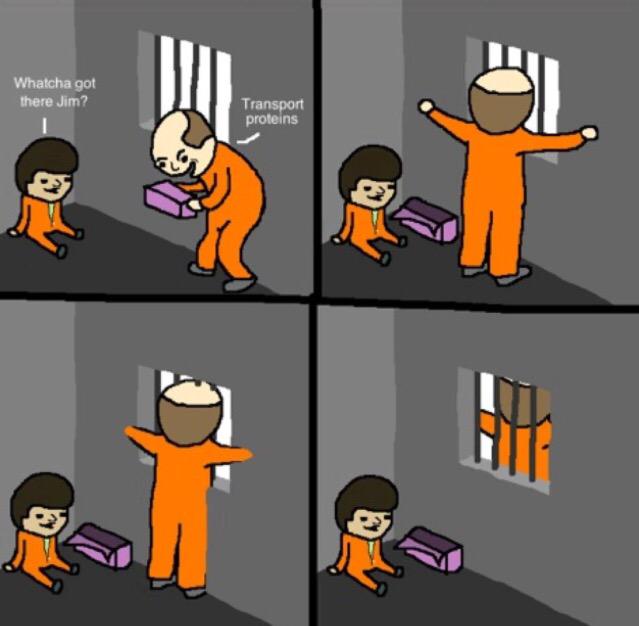 SlayinMembrane's tweet photo. If you get it you get it #organellevote2015 http://t.co/m00lLAQriL