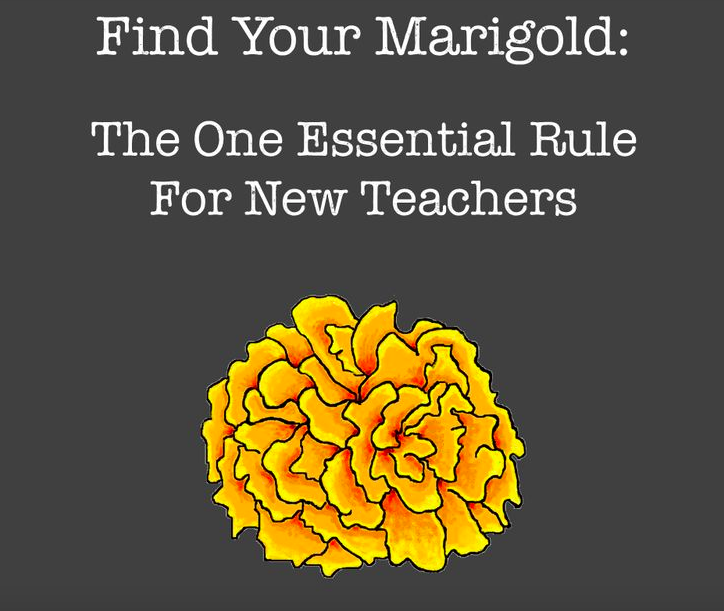 WeAreTeachers's tweet photo. A must-read for new #teachers &amp; a GREAT reminder for established teachers! #ntchat #edchat http://t.co/D7obycyd0e http://t.co/ds5OphCIcC