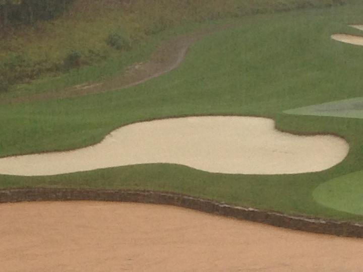 Thanks to the guys at Spring Creek GC in Charlottesville, VA for this pic..BBB looks great after 3" of rain today!