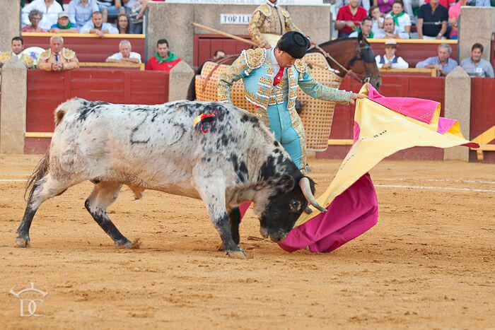 Eloyhs6's tweet photo. En mi tierra Sanlucar de Barrameda 2 orejas donde pude disfrutar mucho http://t.co/2NGuciFk9Z