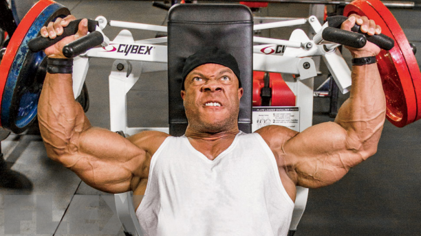 FLEX_Magazine tweet picture