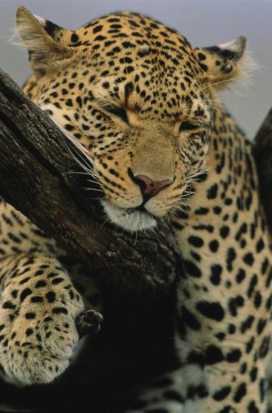 Night night everyone, it's been a long day!