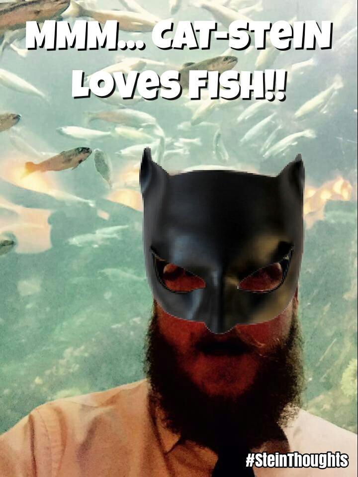 NorthernZoot's tweet photo. Na Na Na Na Na Na Na Na CAT-STEIN!!! @steinekin @XboxAmbassadors #SteinThoughts http://t.co/Xo4TLo1928