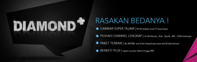 TransvisionID tweet picture