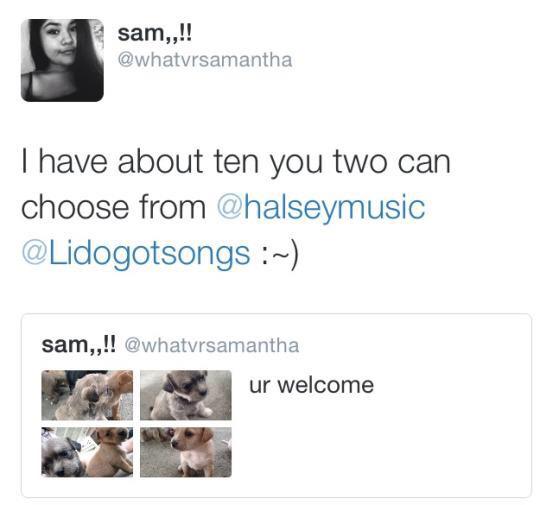 inspirehalsey's tweet photo. THIS WILL ALWAYS BE SO FUNNY http://t.co/diL8YaxiM3