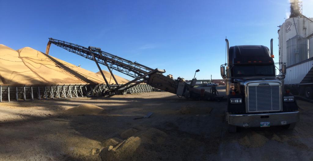 Tyler Bartmanovich 🇨🇦 (@t_bartman) on Twitter photo <a href="/will_bergmann/">Will Bergmann</a> <a href="/Foodgrains/">Canadian Foodgrains Bank</a> <a href="/ChipInGlenlea/">ChipInGlenlea</a> this was first load of beans off to the pile <a href="/will_bergmann/">Will Bergmann</a> <a href="/Foodgrains/">Canadian Foodgrains Bank</a> <a href="/ChipInGlenlea/">ChipInGlenlea</a> this was first load of beans off to the pile