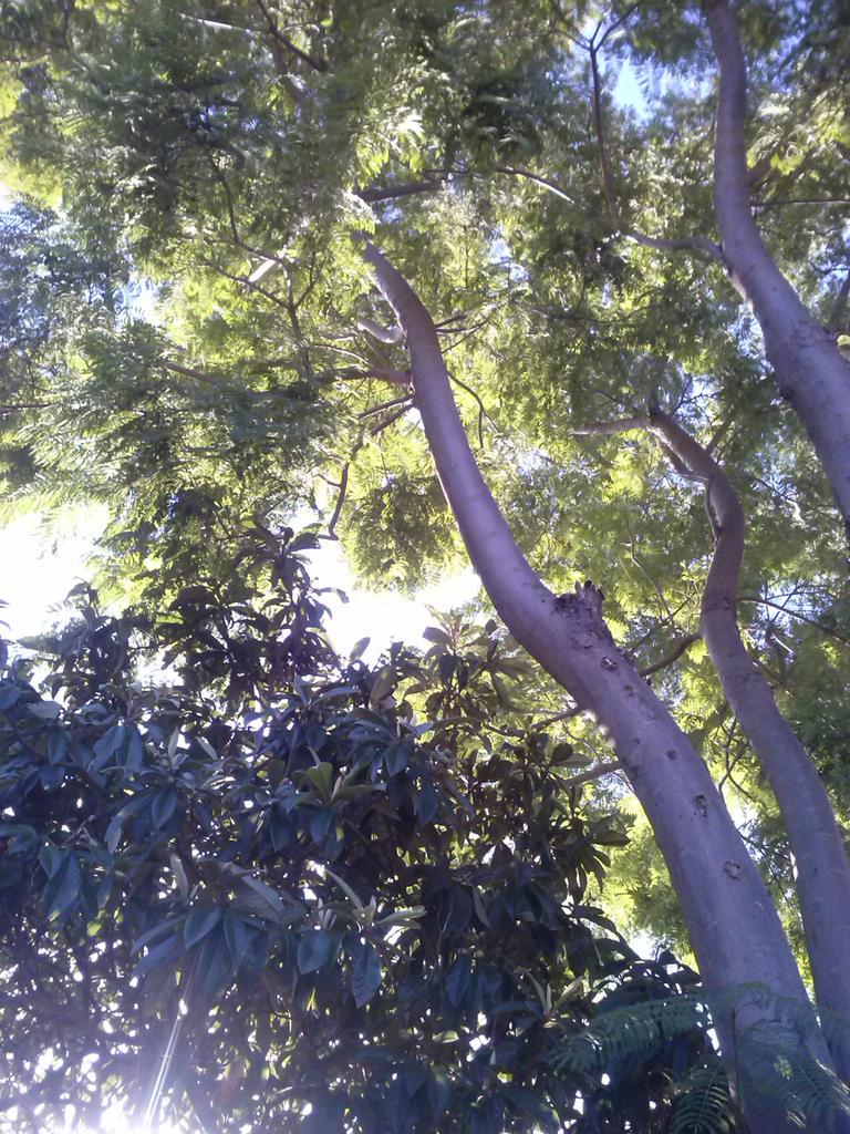 Fherghio's tweet photo. No quiero decirme y decirles adios... http://t.co/tbFJrgntGJ