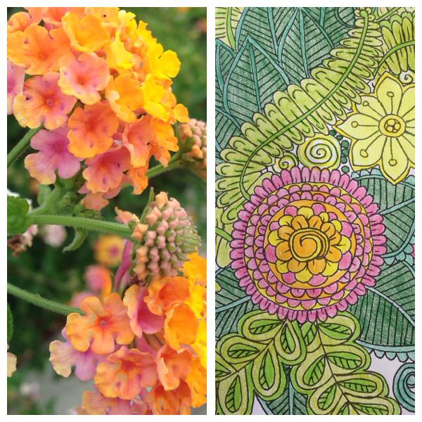 Get inspired &amp; embrace a sense of calm with <a href="/colourcalm/">Colour Calm</a>. Colouring in for adults x peonieandme.blogspot.co.uk/2015/09/keepca…