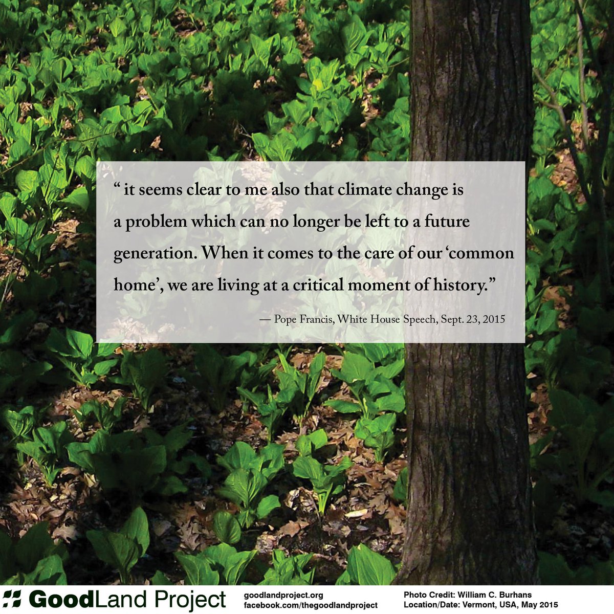 Good_Lands's tweet photo. Hopeful #popeintheUS will spark more climate action in communities #climateaction #popefrancis #ecologicalplanning http://t.co/4GAly1b0fi