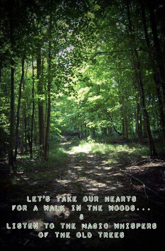 SayraWalters's tweet photo. So nice to just be free and explore the peacefulness of the woods... http://t.co/F8iOIWbVnr