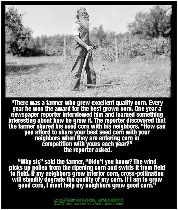 lucafex's tweet photo. #knowledgeunlimited #life #love #lesson #heal #health #self #thoughts #mind #history #humans #education #informatio… http://t.co/xtQG9oWbJO