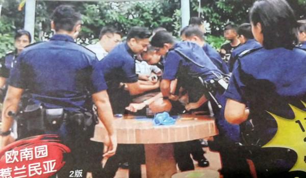 Embedded image permalink