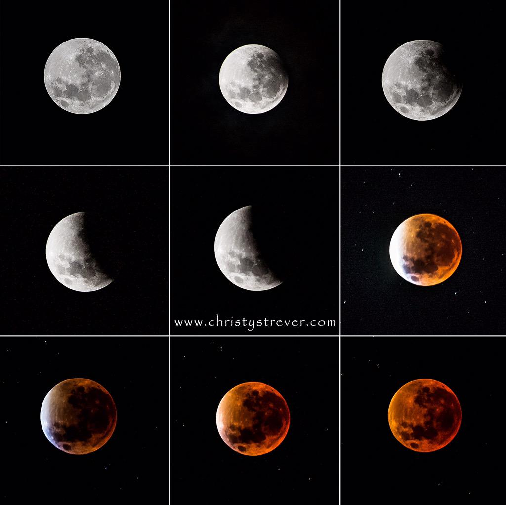 Stunning collage of #bloodmoon #LunarEclipse by <a href="/GemSquash8/">Christy Strever</a>