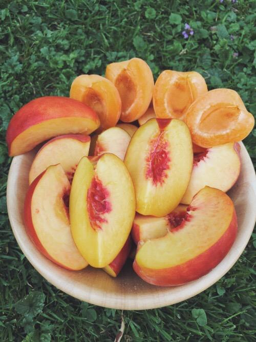 loseweightnow (@losewnow) on Twitter photo 