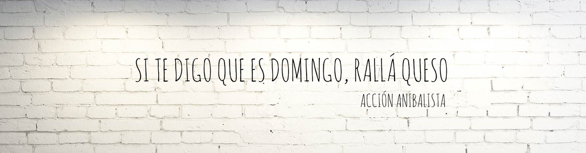 accionanibal's tweet photo. #SiTeDigoQueEsDomingoRalláQueso @FernandezAnibal http://t.co/zSrCss2eaT