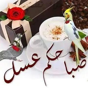 623159563ce24ef's tweet photo. @TarooogG صباح الخير لكل محبين التعارف والمراسله http://t.co/XfjQAEnsyL