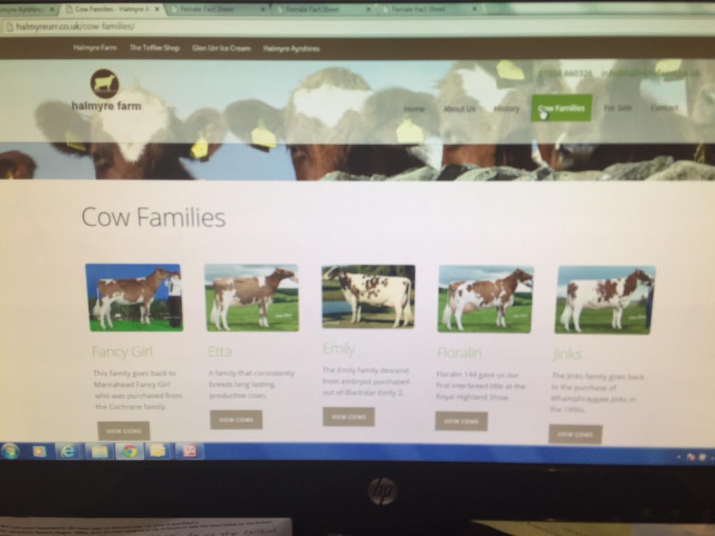 Excited to be putting the finishing touches to <a href="/halmyreurr/">Halmyre Urr Ayrshire</a> website! Look out for its launch in the next few days.