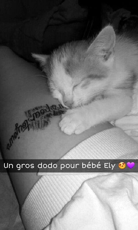 Morgane Lottin Moye Twitter