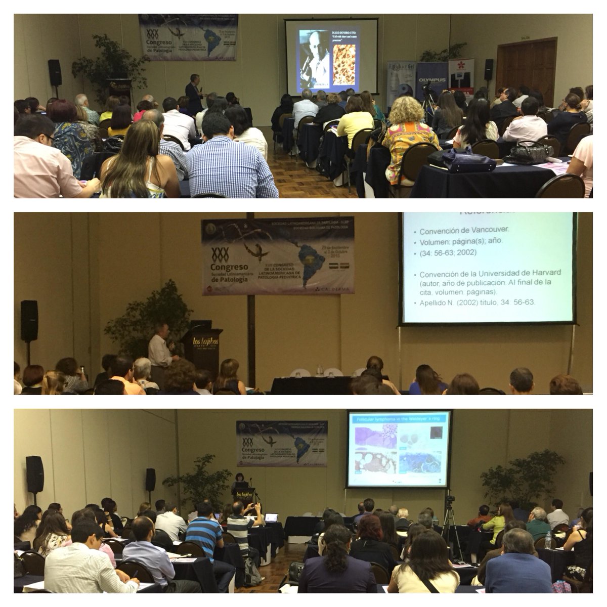 SLAPpatologia's tweet photo. Seguimos en nuestro segundo día de congreso #slap2015 http://t.co/yt6KLi4UGc
