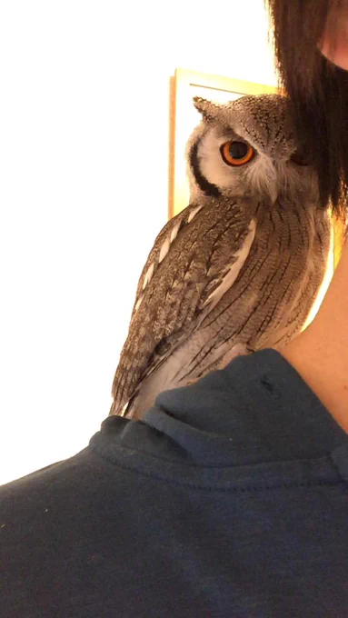 ぴと 