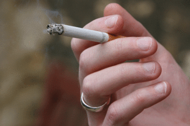 cypnow's tweet photo. Daily roundup 30 September: Smoking in cars, education, and children's centres  https://t.co/lpuIkGzT3R http://t.co/Kpck79Egqx