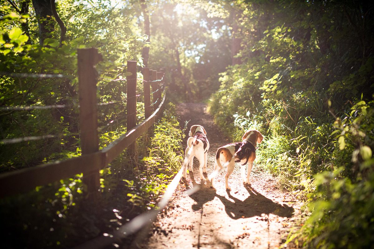 A last blast of summer: fourleggedpal.com/2015/09/30/las…