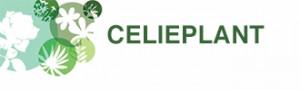 Ingebruikname 2000 zonnepanelen op het dak bij <a href="/Celieplant/">Celieplant</a> &amp; <a href="/bouquetnet/">Bouquetnet</a>
bpnieuws.nl/artikel/2765/I…