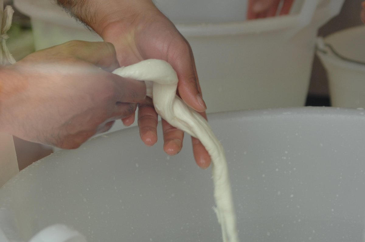 CascinaGuzzafam's tweet photo. La CASCINA GUZZAFAME produce la #PROPRIA MOZZARELLA. Disponibile appena filata tutti i sabati e le domeniche. #fb http://t.co/2B9fYe4gyZ