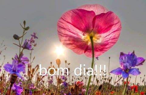 laira1980's tweet photo. Bom Diaaaa!!!!!
Excelente Quarta-Feira a todos!!!!! http://t.co/bj3gAVtGhI