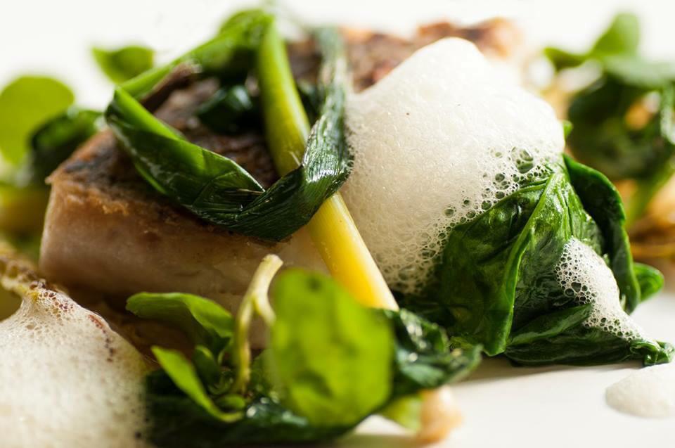 MiddlethorpeHal's tweet photo. Tantalising main courses from our new luncheon menu by @chefashb3 - and 3 courses for the price of 2! (£21) http://t.co/kuDoKzIClP