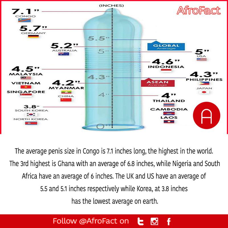 “The average penis size in Congo is 7.1 inches, the highest in the world. 