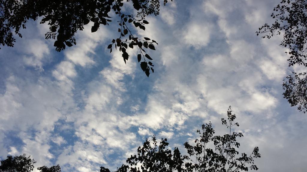 17Shazza's tweet photo. No #ToadStranglingRain here @Evansweather @heatherorourke7 or #DrainStrain http://t.co/cONXuy6A0N