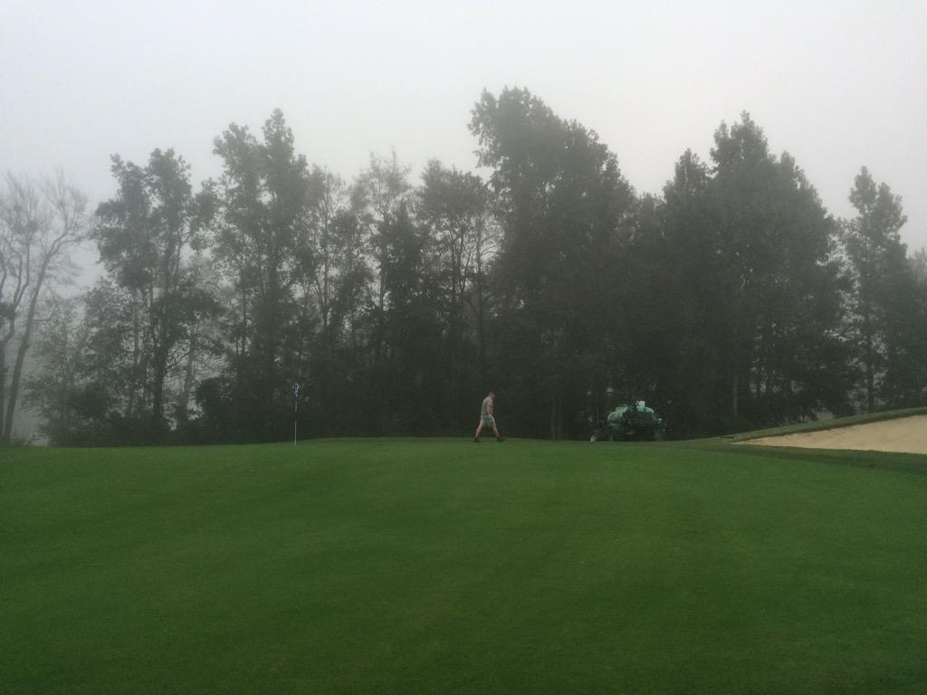 preinhardtgcs's tweet photo. Some @Precision_Labs #Cascade going out today in anticipation of tonight and tomorrow's rain. #keepitfirm #glowing http://t.co/48iS9cAVIz