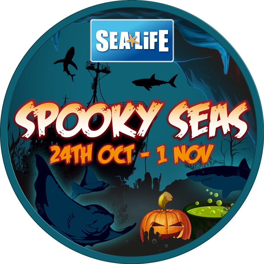 Hunstanton SEA LIFE tweet media