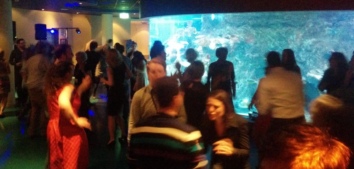 bnschlz's tweet image. Dancing with the rays #ComBio2015