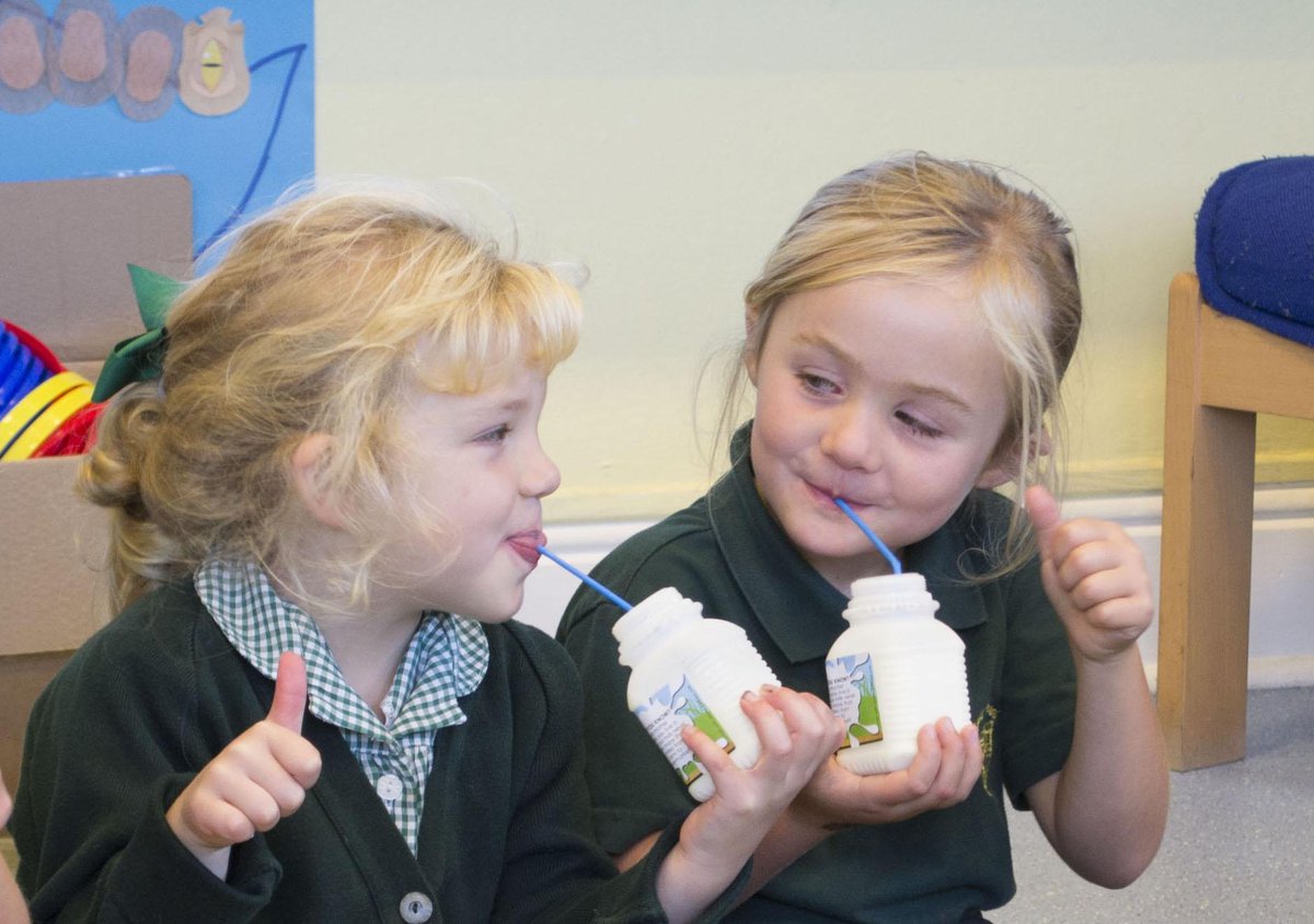 Jersey Dairy tweet media