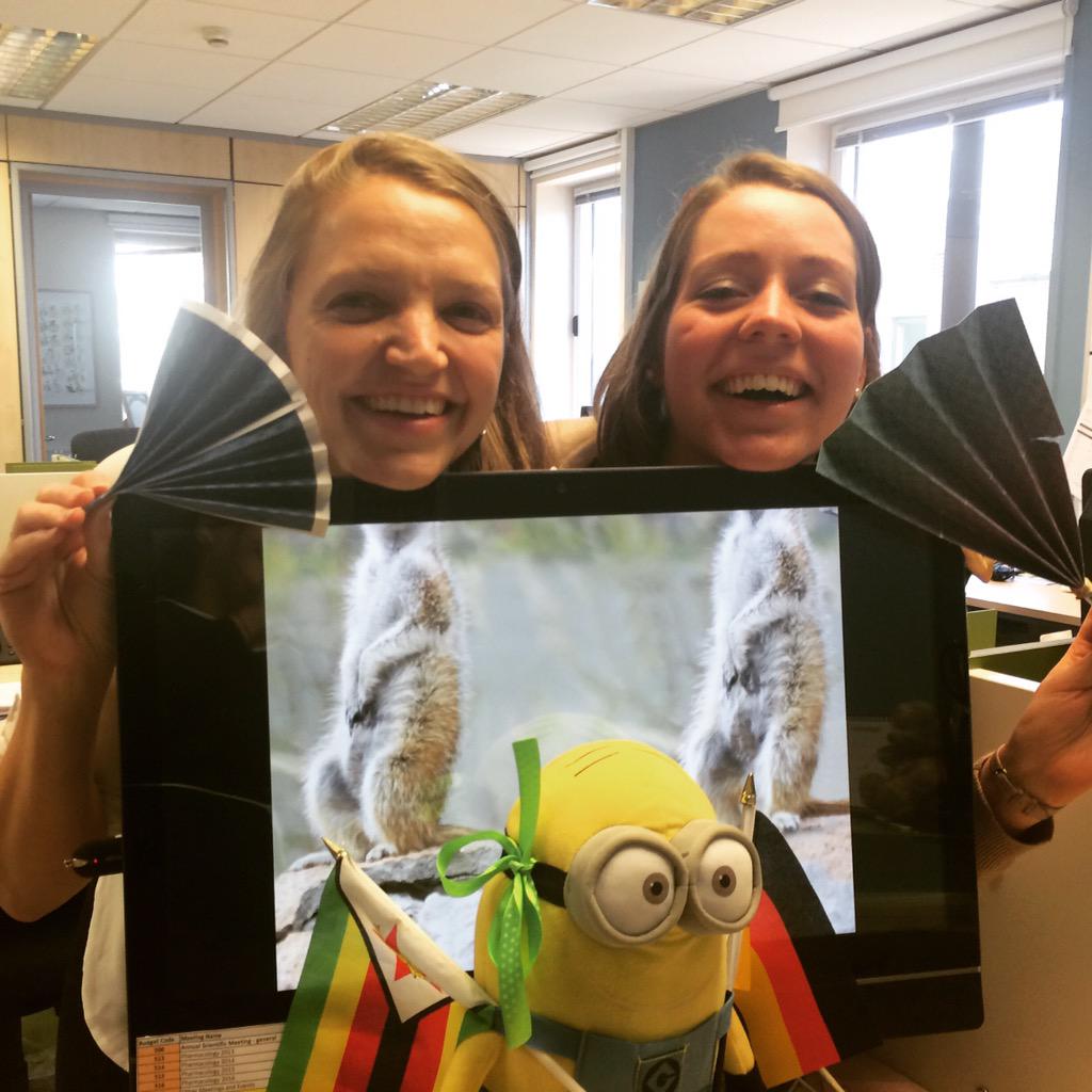 TaljaD's tweet photo. @brightdomeconf @SusiSchweda #brightondomecreate #dualentry #wegotcreative #minion #international #coolkats http://t.co/Rj5bypLl6Y