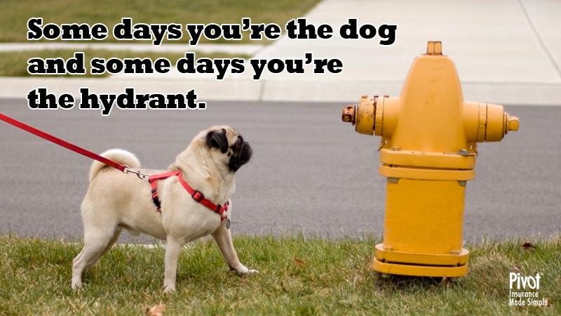 ideastoapps's tweet image. Some days..... #nevergiveup