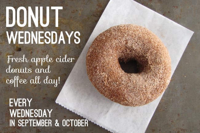 Donut Wednesday at Wilson's! Stop by for your only weekday chance to enjoy fresh homemade apple cider donuts!