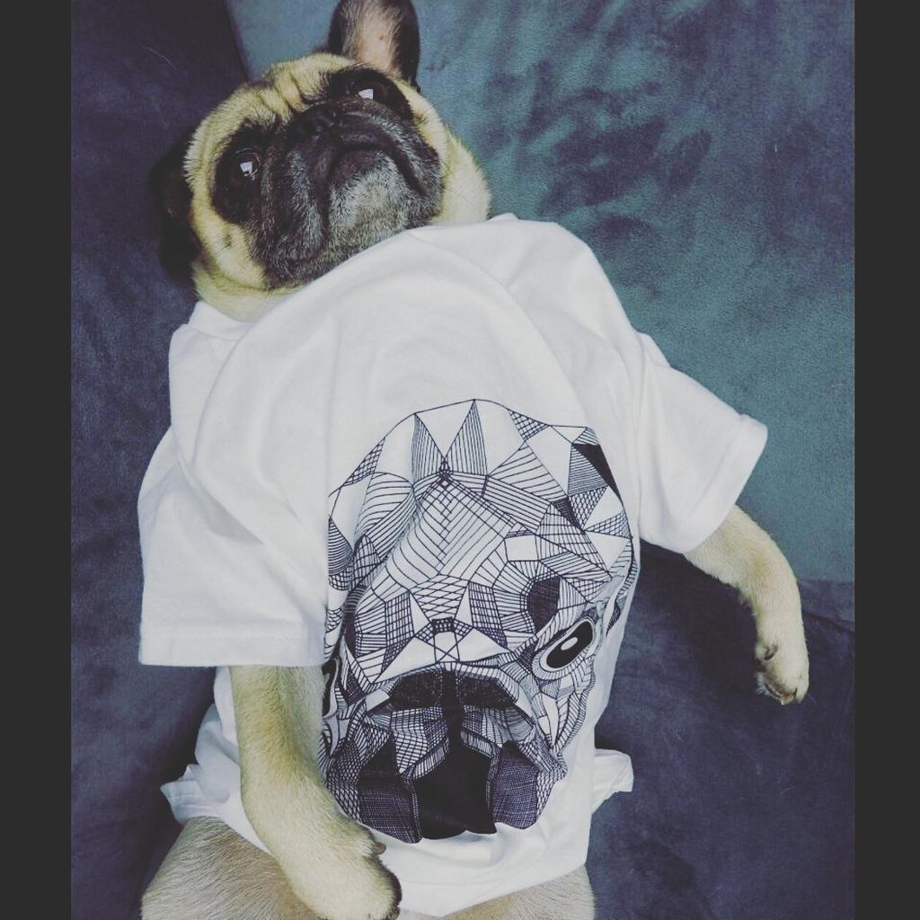 download The RoutledgeFalmer Guide to Key Debates