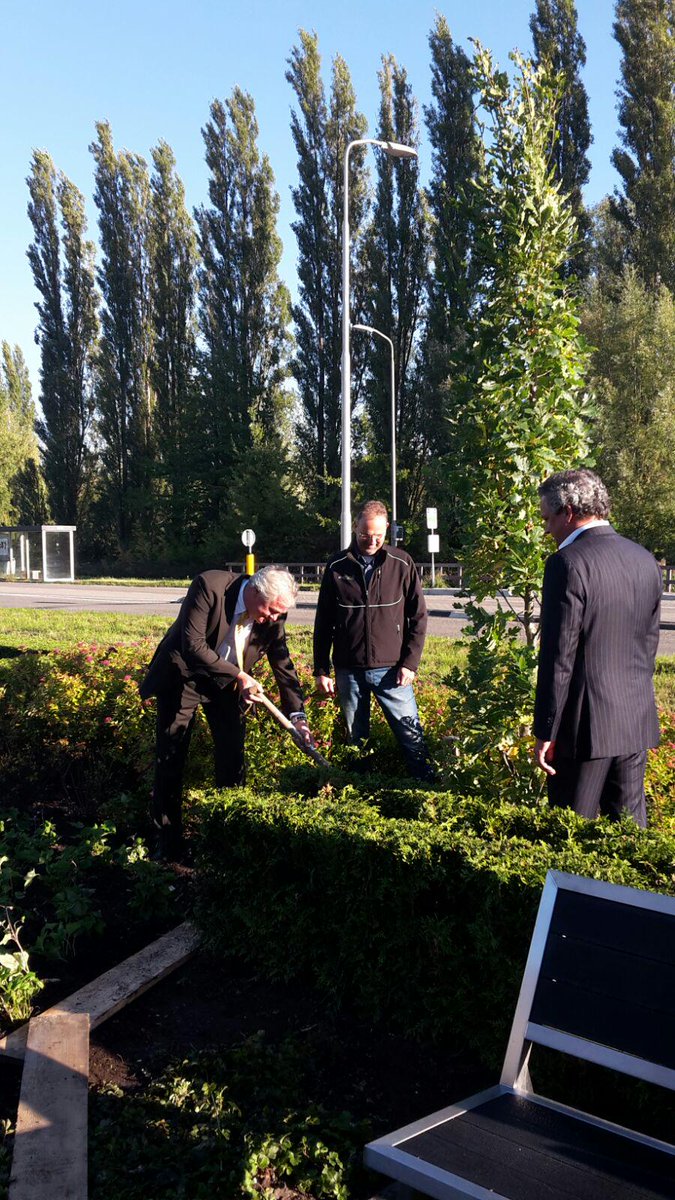 alluretuinen's tweet photo. Vandaag 80 jarig jubileum @vibanl. Gefeliciteerd! @alluretuinen heeft de jubileumboom geschonken #kado #samenwerking http://t.co/RP2HKsqntN