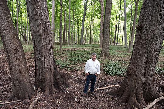 Follow the second life of a Michigan maple tree as it goes from forest to floor: ow.ly/SO7pB <a href="/MichiganDNR/">Michigan Department of Natural Resources</a>