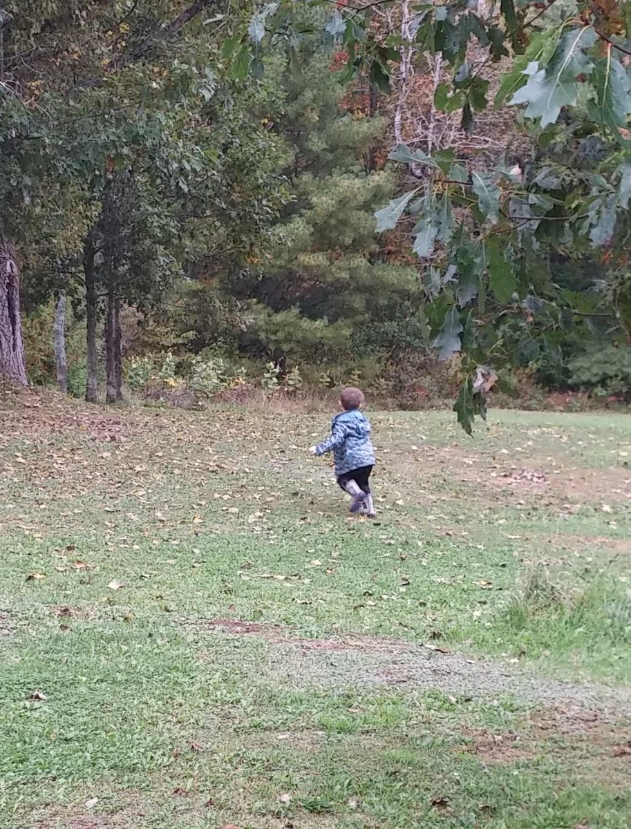 deannab23's tweet photo. Today E chased leaves to catch them in his basket...beautiful #earlyyears @GreatMooseAdv http://t.co/PC2itnUqPa