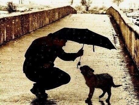 RustikDarya's tweet image. Берегите в себе человека. А.П.Чехов