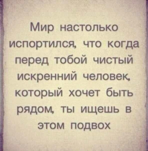 RustikDarya's tweet image. 