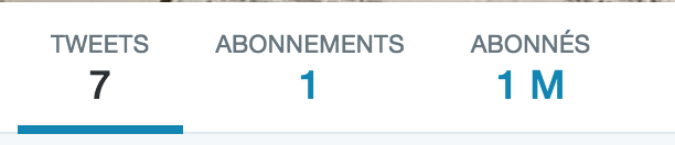 henjoy_app's tweet image. Petite devinette de l'après-midi : Quelle est la seule personne à qui peut appartenir un tel compte twitter ?#liberté
