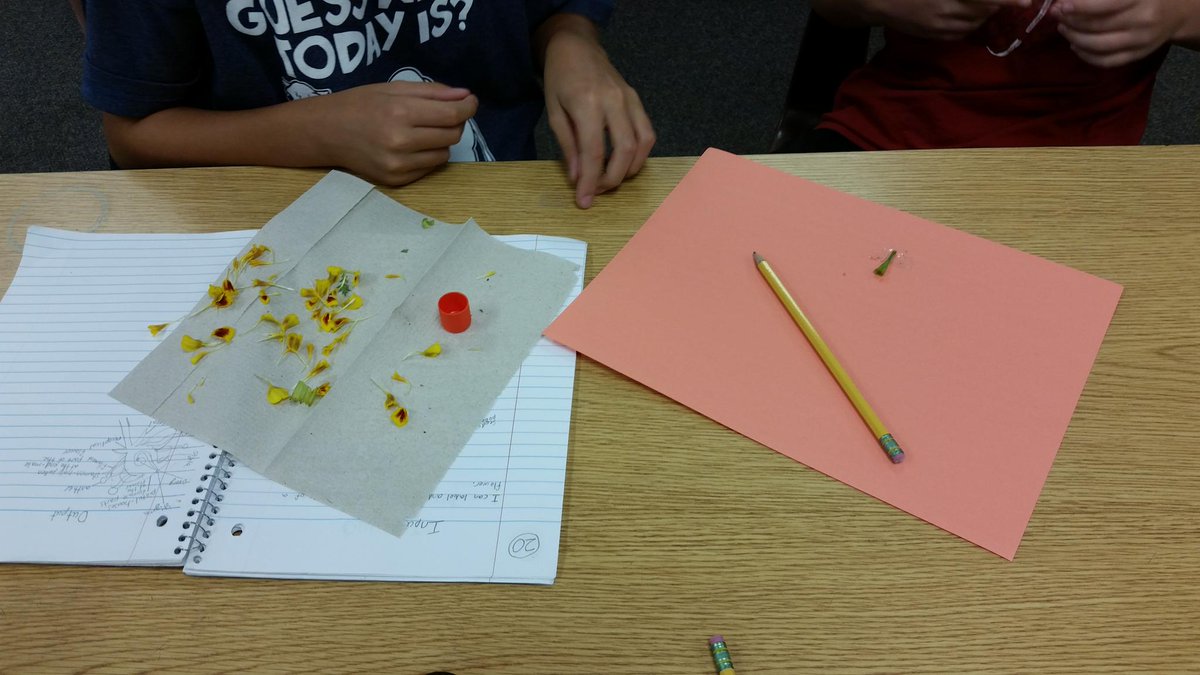 HES_mshorn's tweet photo. Dissecting and labeling parts of a flower http://t.co/0KuHCmoZaQ
