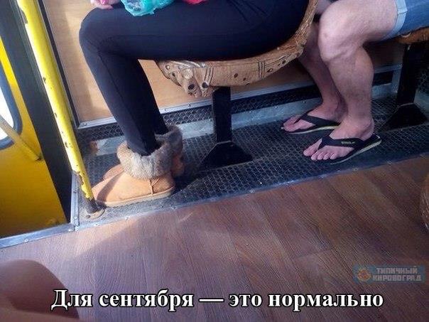 Прямая ссылка на встроенное изображение